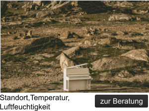 Standort,Temperatur, Luftfeuchtigkeit zur Beratung zur Beratung